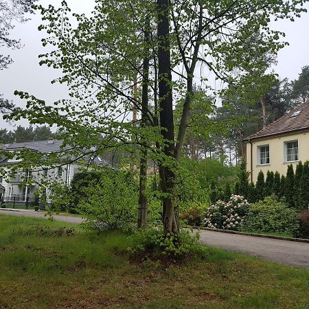 Willa Reverans Borne Sulinowo Buitenkant foto