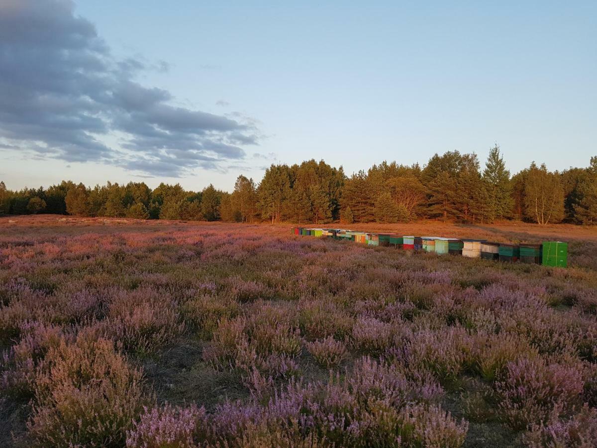 Willa Reverans Borne Sulinowo Buitenkant foto