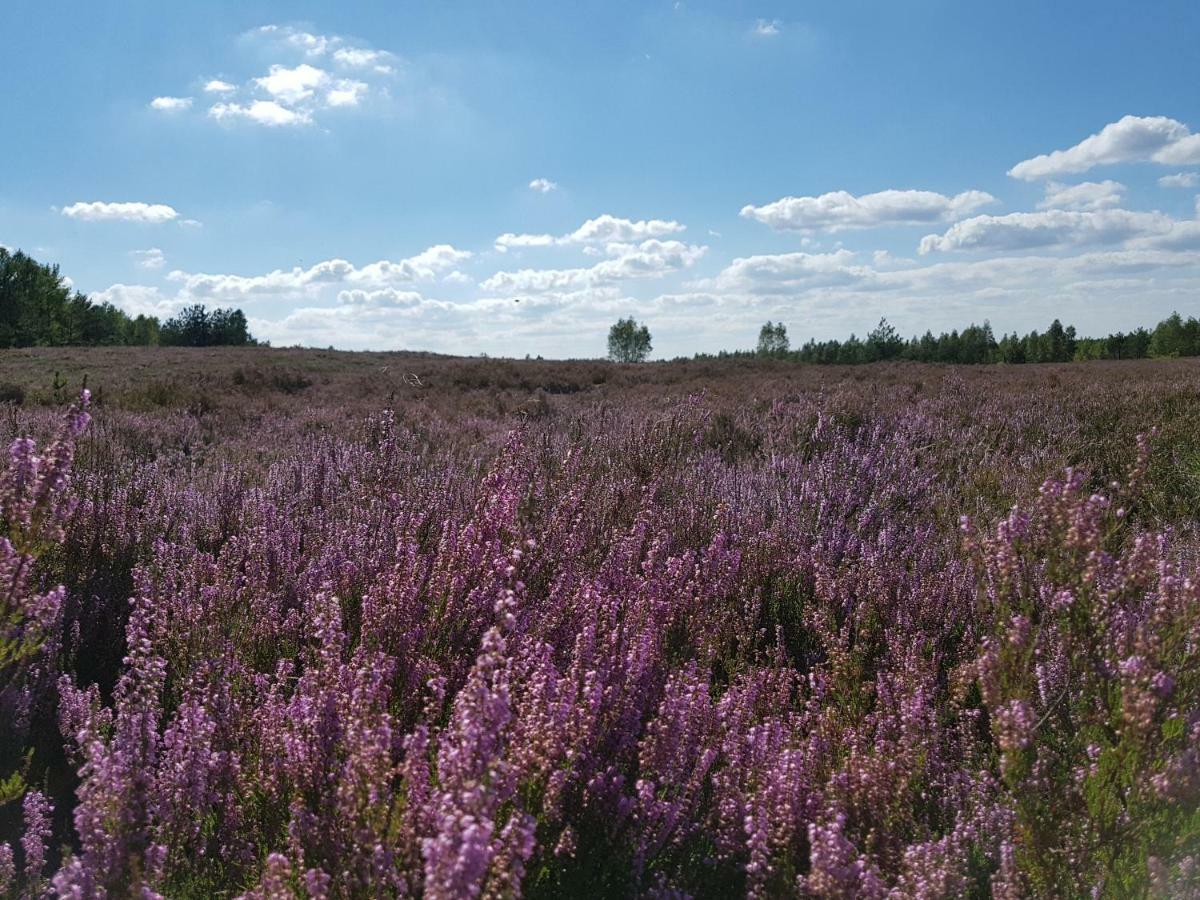 Willa Reverans Borne Sulinowo Buitenkant foto