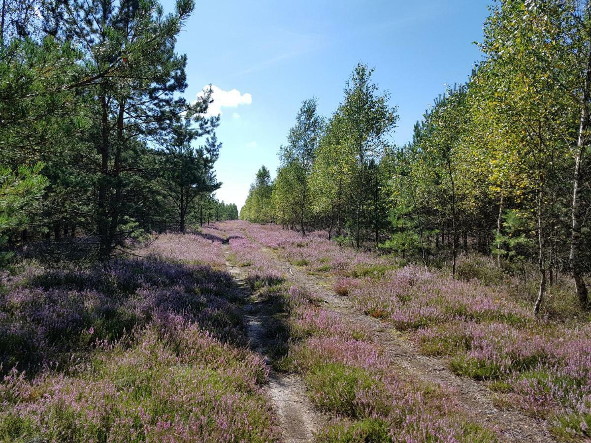 Willa Reverans Borne Sulinowo Buitenkant foto